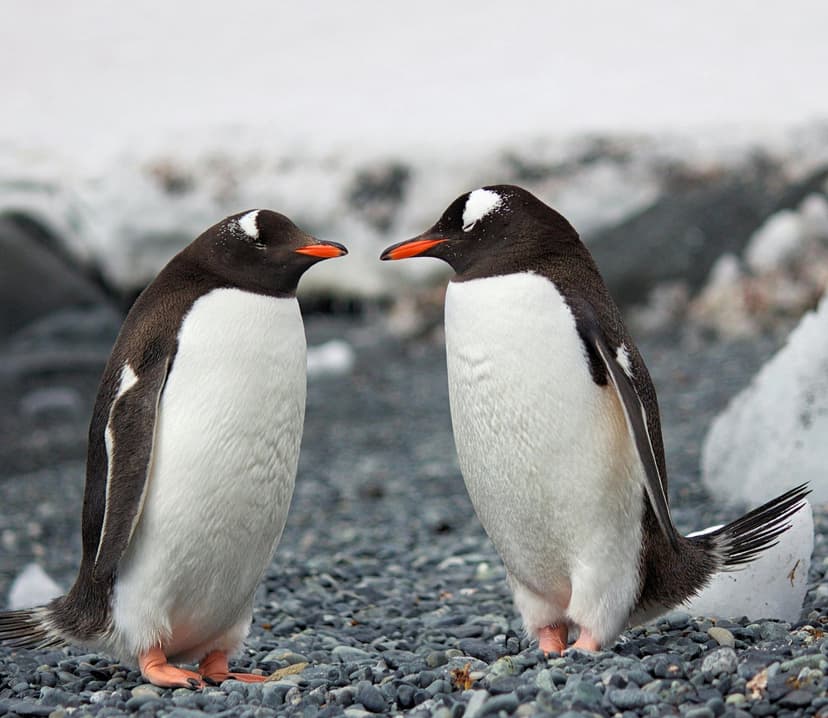 Introduction to Linux Workshop