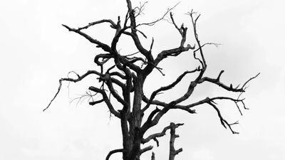 Einführung in Git Workshop - DevNinjas