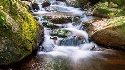 Einführung in Flux CD Workshop - DevNinjas